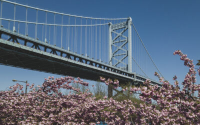 How to Choose the Right Philadelphia Neighborhood for Your Lifestyle (Not Just Your Budget)