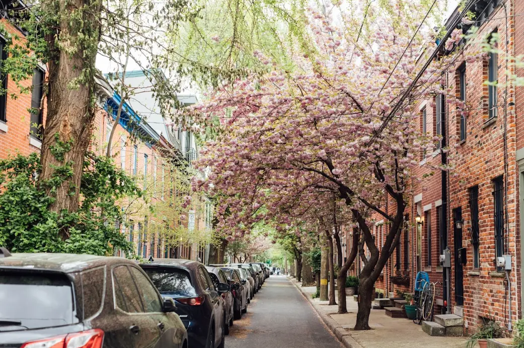 Philadelphia rowhomes on a tree-lined street in spring